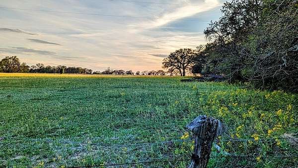 21.5 Acres of Agricultural Land for Sale in Palestine, Texas