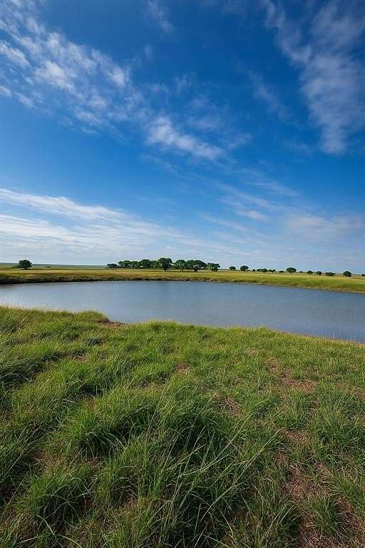 211 Acres of Recreational Land for Sale in Hillsboro, Texas