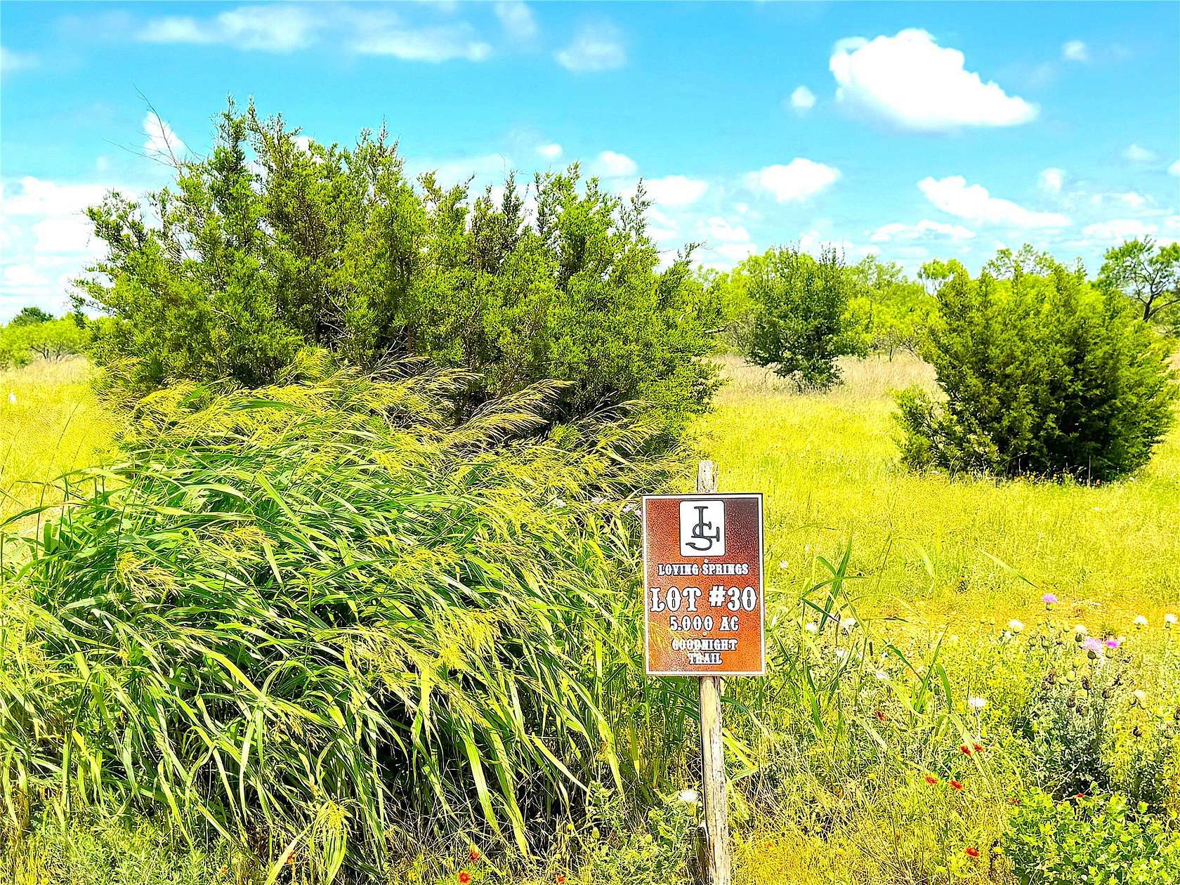 5 Acres of Land for Sale in Perrin, Texas