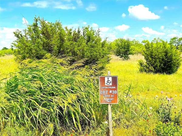 5 Acres of Land for Sale in Perrin, Texas