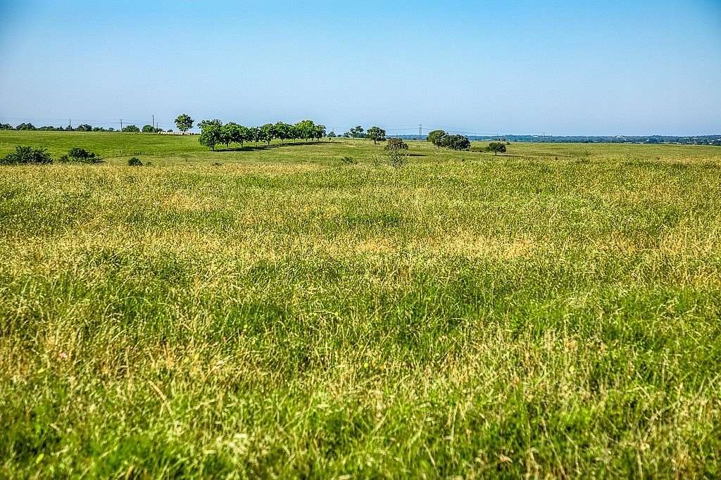 13.5 Acres of Land for Sale in Burton, Texas