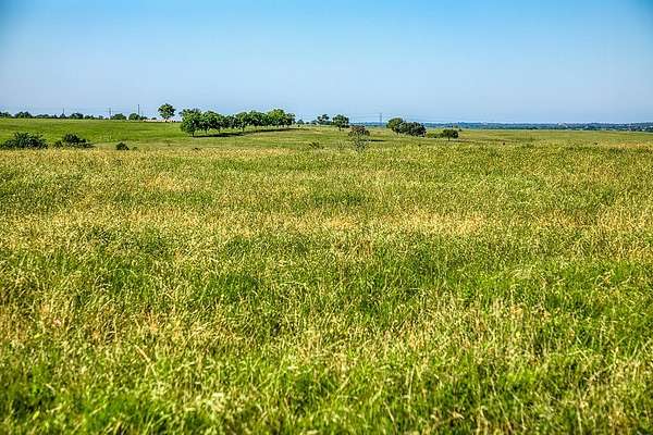 13.5 Acres of Land for Sale in Burton, Texas