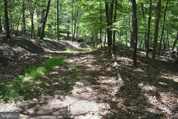 9.59 Acres of Residential Land for Sale in Winchester, Virginia