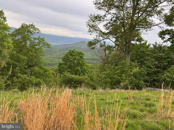 20.4 Acres of Land for Sale in Romney, West Virginia