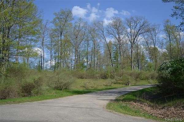 17.2 Acres of Recreational Land for Sale in Mills Township, Michigan