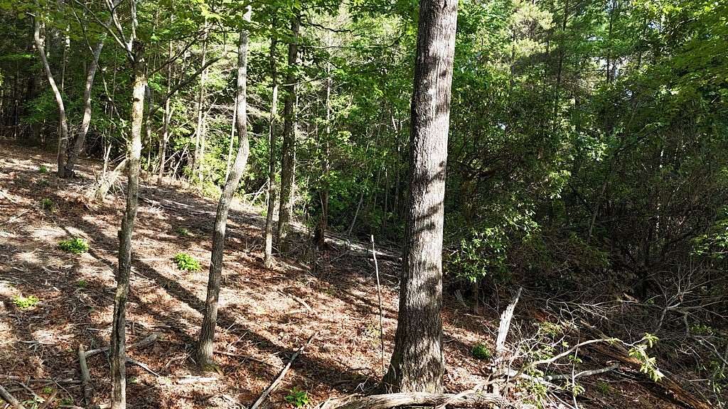 6.15 Acres of Land for Sale in Ellijay, Georgia
