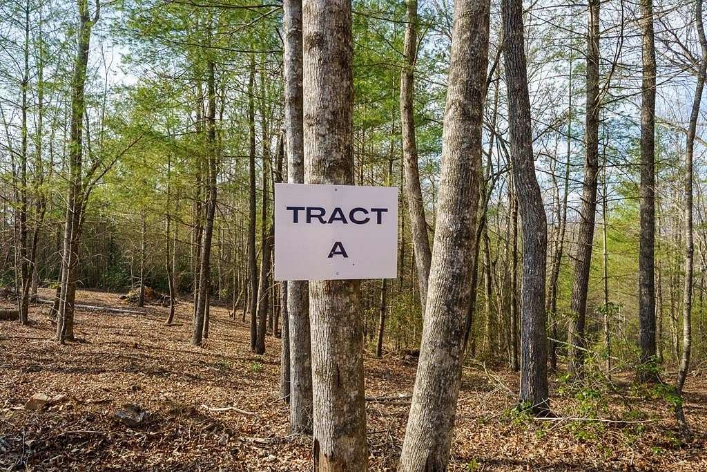 6.15 Acres of Residential Land for Sale in Ellijay, Georgia