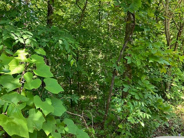 10 Acres of Recreational Land & Farm for Sale in Mammoth Spring, Arkansas