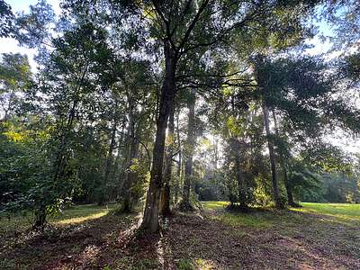 5 Acres of Land for Sale in Lake City, Florida