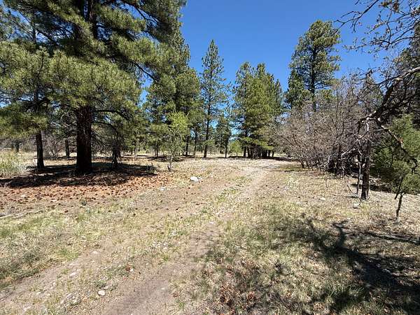 10.7 Acres of Recreational Land & Farm for Sale in Chama, New Mexico