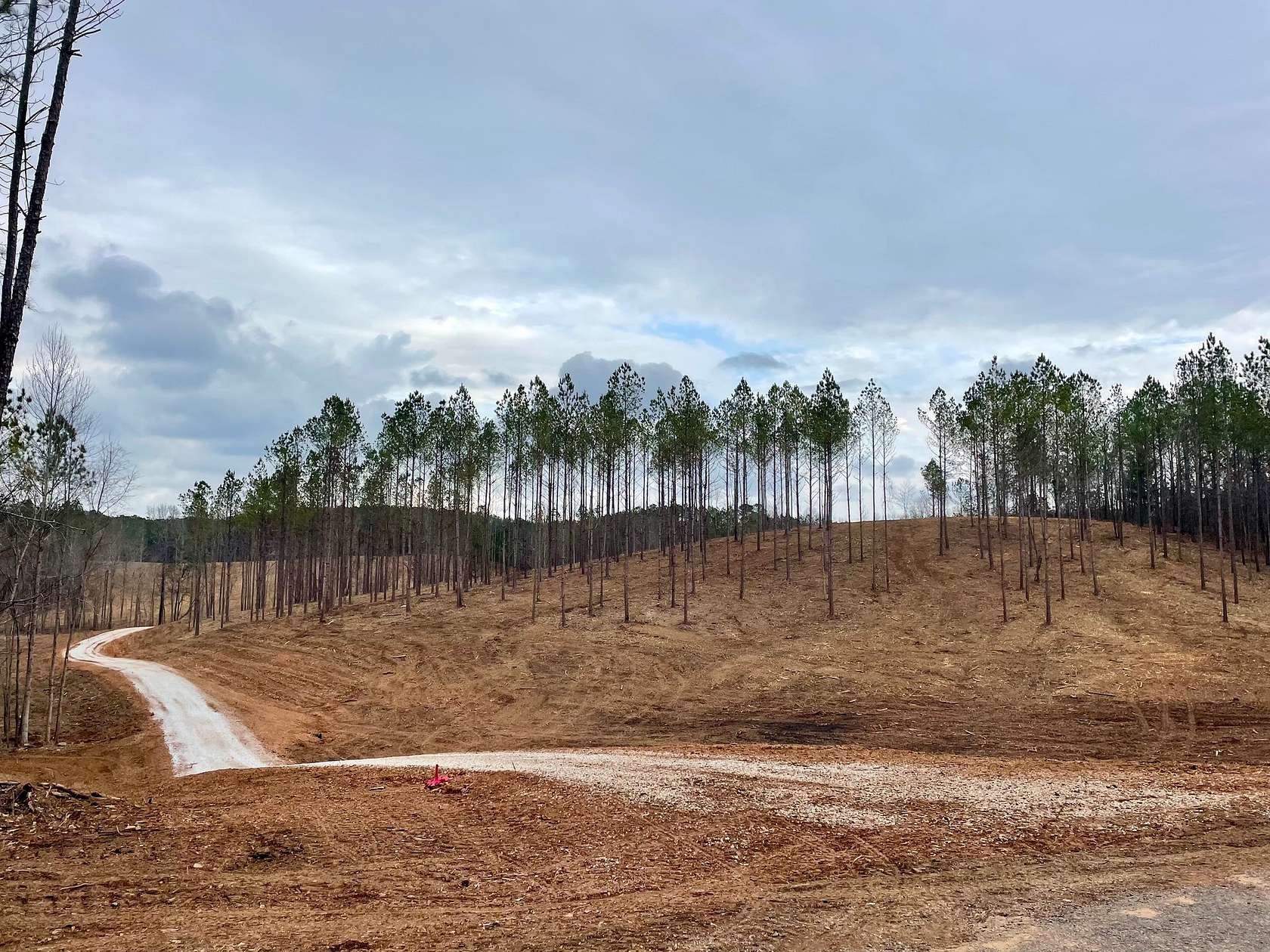 16 Acres of Land for Sale in Cragford, Alabama