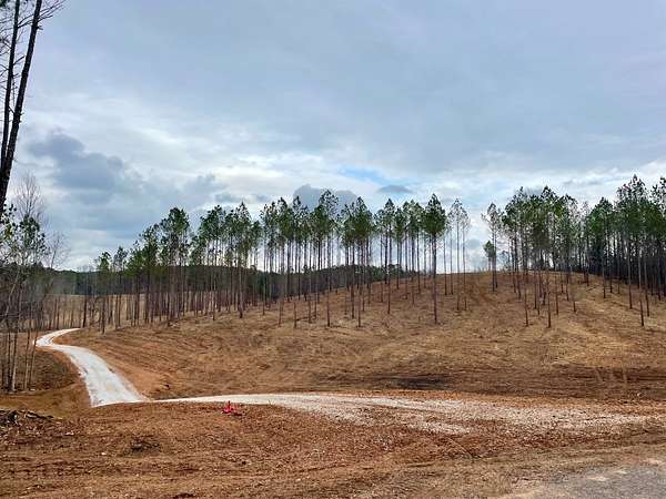 16 Acres of Land for Sale in Cragford, Alabama
