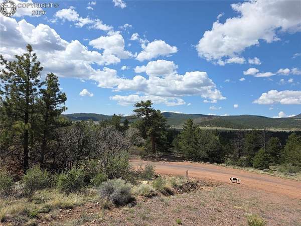 35.2 Acres of Recreational Land for Sale in Cañon City, Colorado