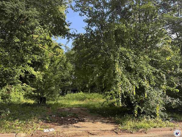 0.08 Acres of Land for Sale in Texarkana, Texas