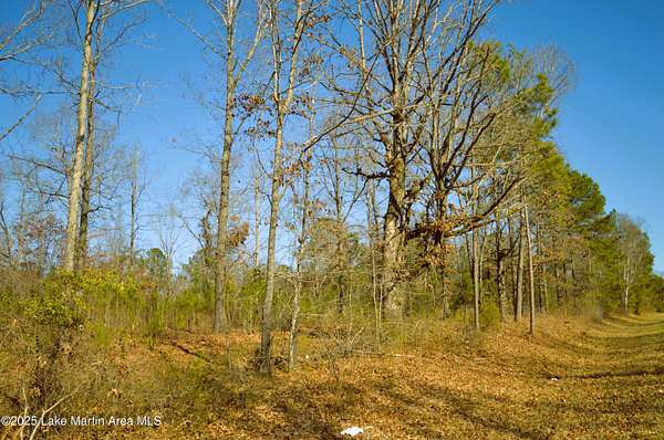 Land for Sale in Dadeville, Alabama
