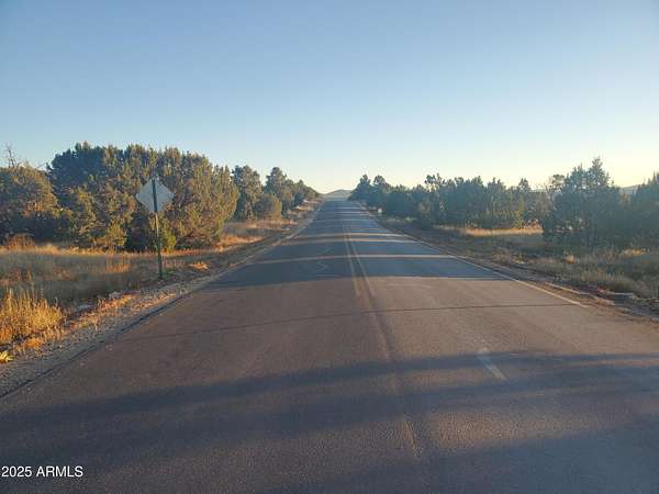 10 Acres of Land for Sale in Concho, Arizona