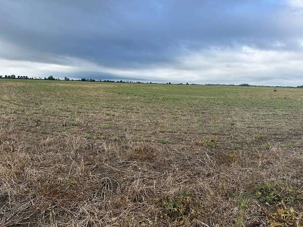 Land for Sale in Hayti, Missouri