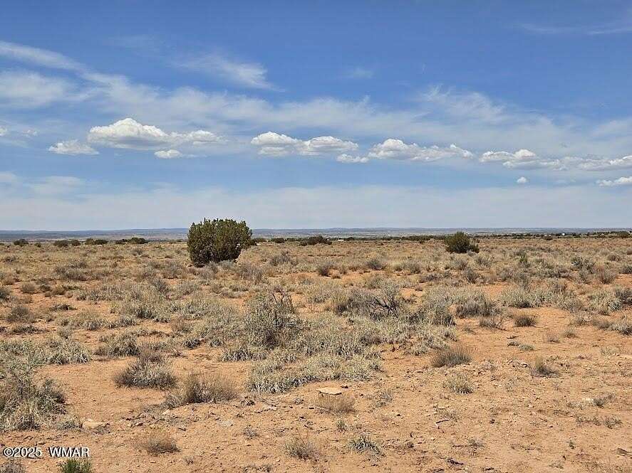 30.2 Acres of Recreational Land for Sale in Snowflake, Arizona
