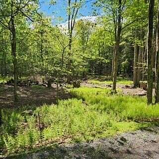 0.48 Acres of Residential Land for Sale in Gouldsboro, Pennsylvania