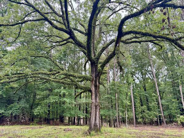 5 Acres of Residential Land for Sale in Flora, Mississippi