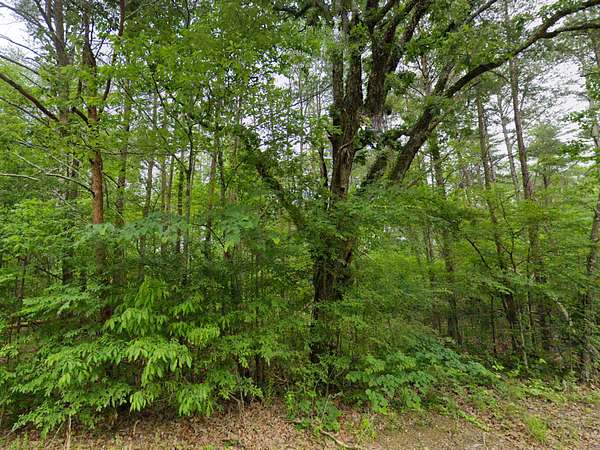 2.4 Acres of Residential Land for Sale in Florence, Alabama