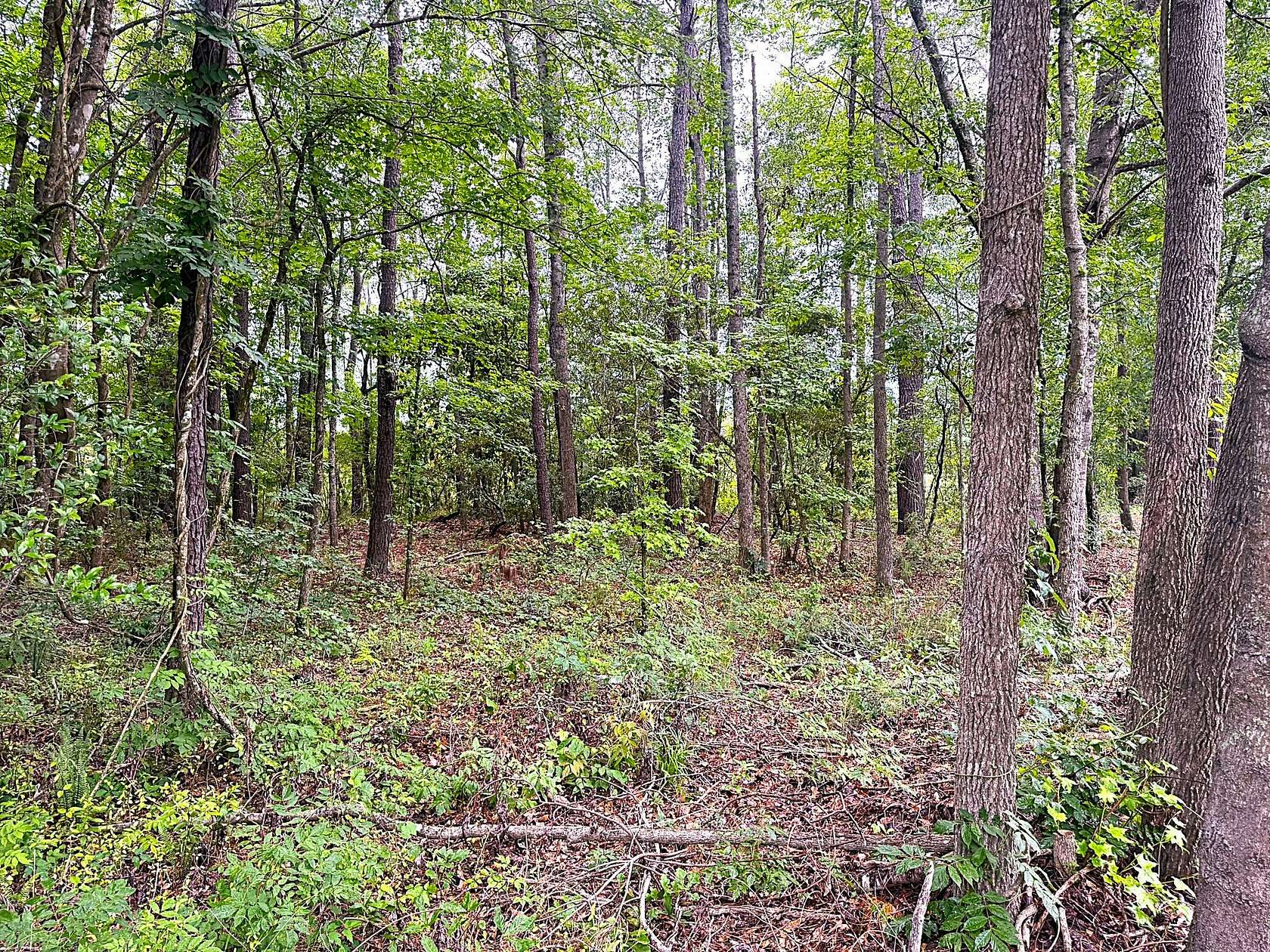 3.88 Acres of Recreational Land for Sale in Abbeville, South Carolina