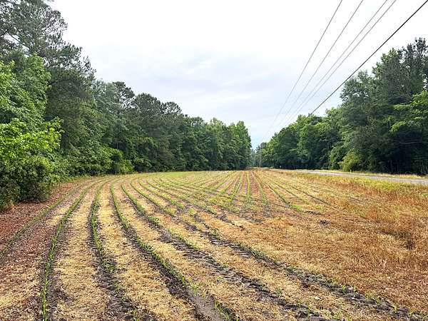 3 Acres of Recreational Land for Sale in St. George, South Carolina