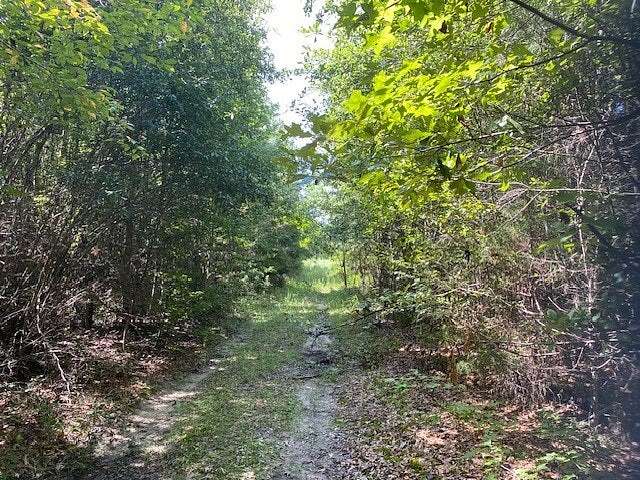 94 Acres of Recreational Land for Sale in Henderson, Texas