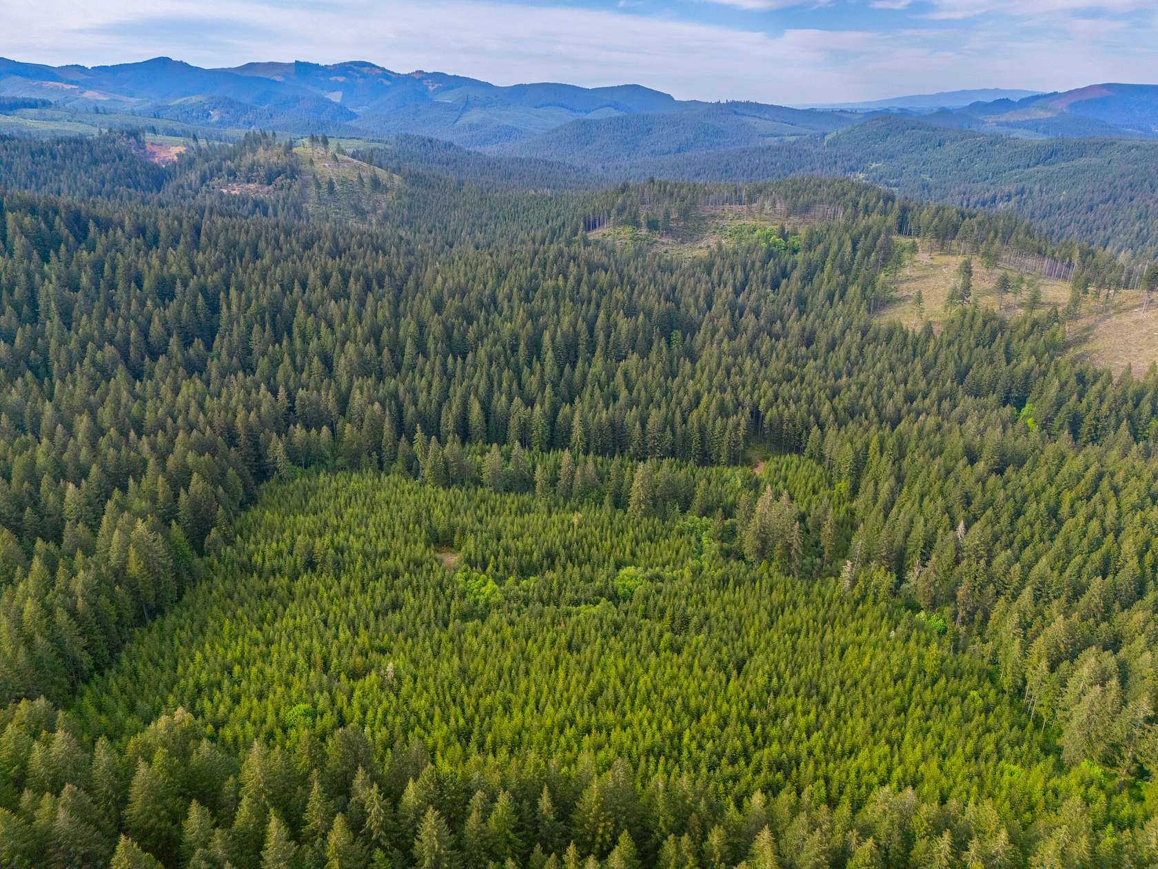 39.7 Acres of Recreational Land for Sale in Marcola, Oregon