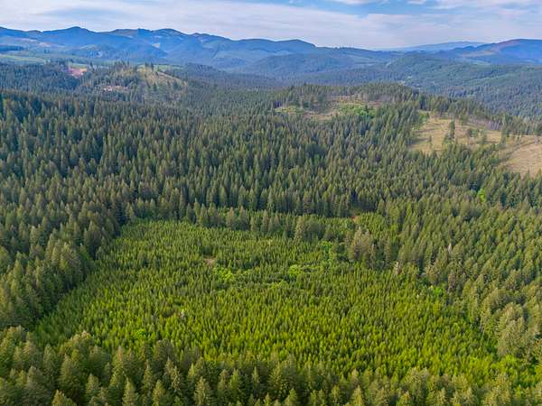 39.7 Acres of Recreational Land for Sale in Marcola, Oregon