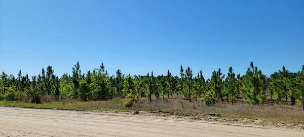 470 Acres of Recreational Land for Sale in Tarheel, North Carolina