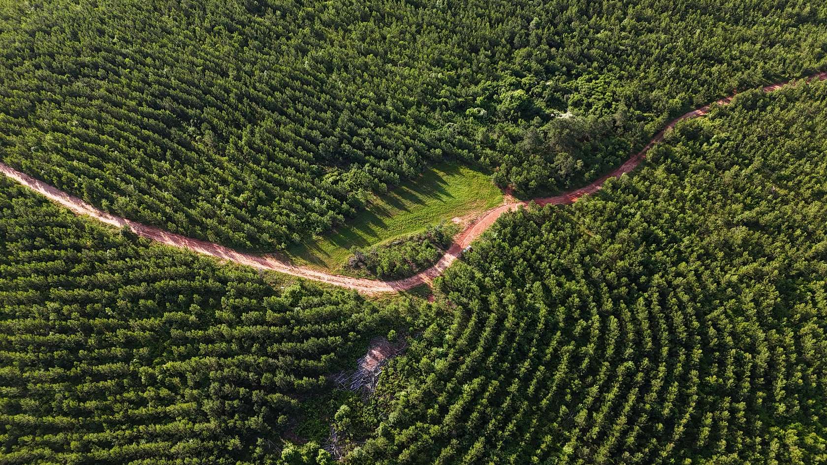 182 Acres of Recreational Land for Sale in Monticello, Georgia