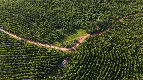 182 Acres of Recreational Land for Sale in Monticello, Georgia