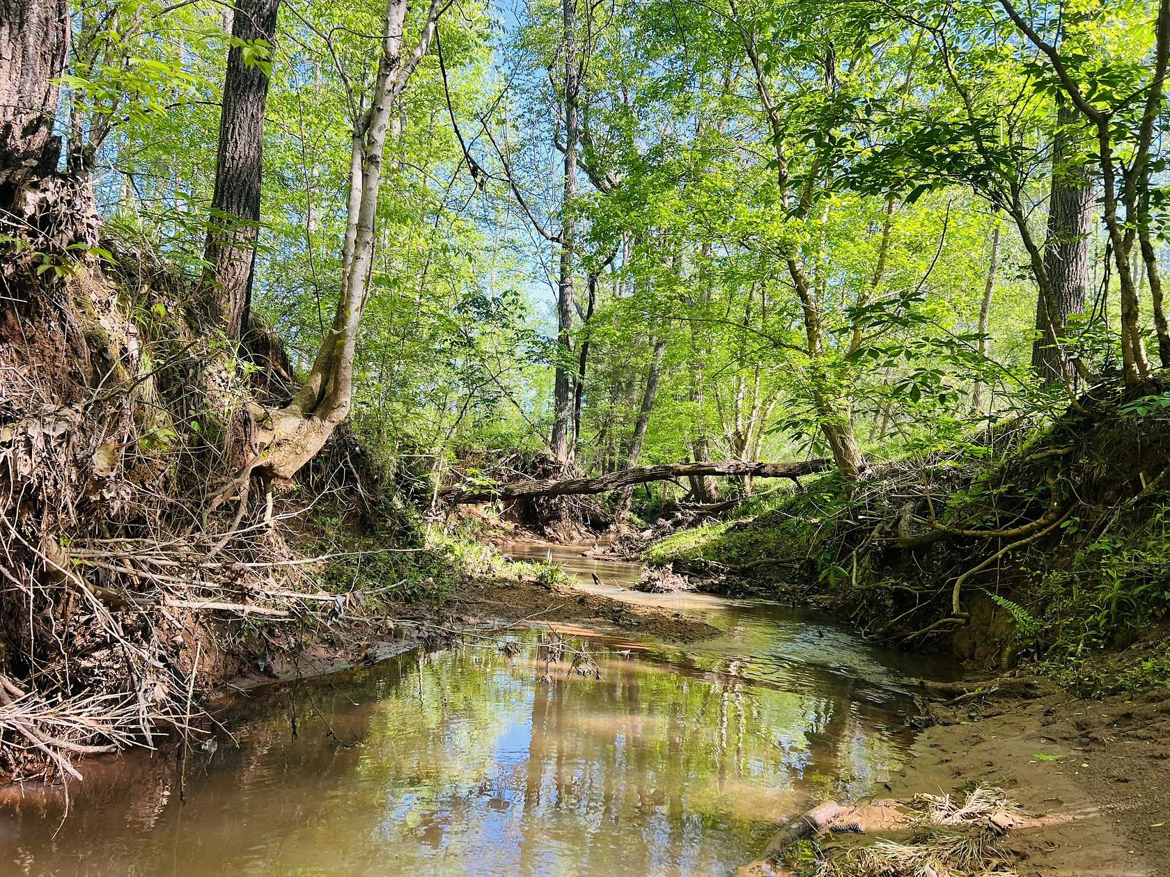 152 Acres of Recreational Land for Sale in Monticello, Georgia