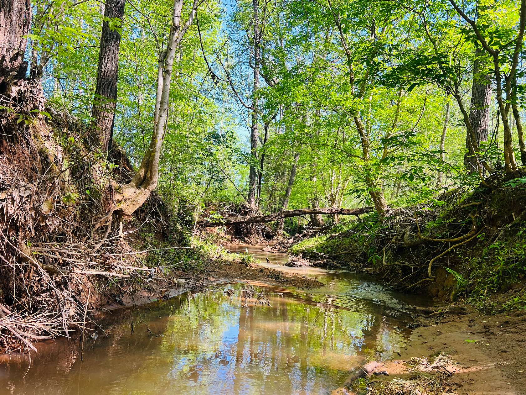 152 Acres of Recreational Land for Sale in Monticello, Georgia