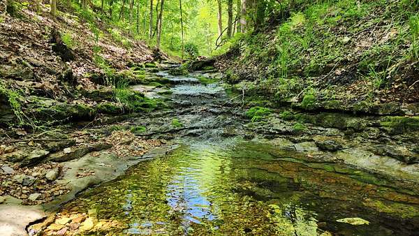 78.4 Acres of Recreational Land & Farm for Sale in Washburn, Missouri