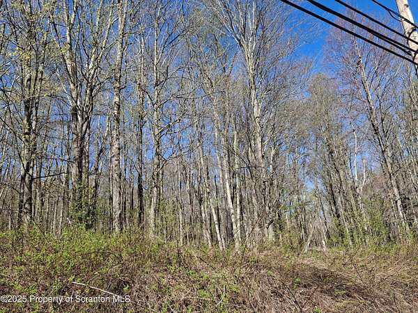0.76 Acres of Residential Land for Sale in Covington Township, Pennsylvania