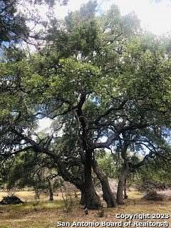 5 Acres of Land for Sale in Pipe Creek, Texas