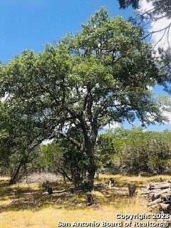 5 Acres of Land for Sale in Pipe Creek, Texas