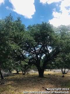5 Acres of Land for Sale in Pipe Creek, Texas