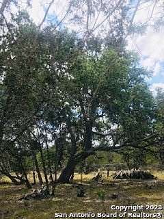 5 Acres of Land for Sale in Pipe Creek, Texas