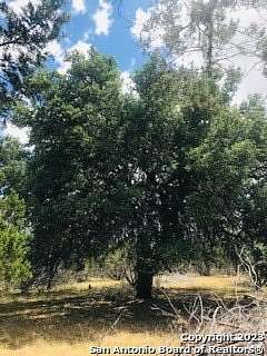 5 Acres of Land for Sale in Pipe Creek, Texas