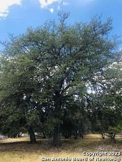 5 Acres of Land for Sale in Pipe Creek, Texas