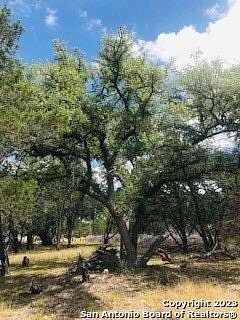 5 Acres of Land for Sale in Pipe Creek, Texas