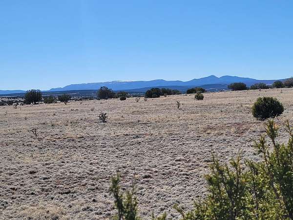 40 Acres of Recreational Land & Farm for Sale in Estancia, New Mexico