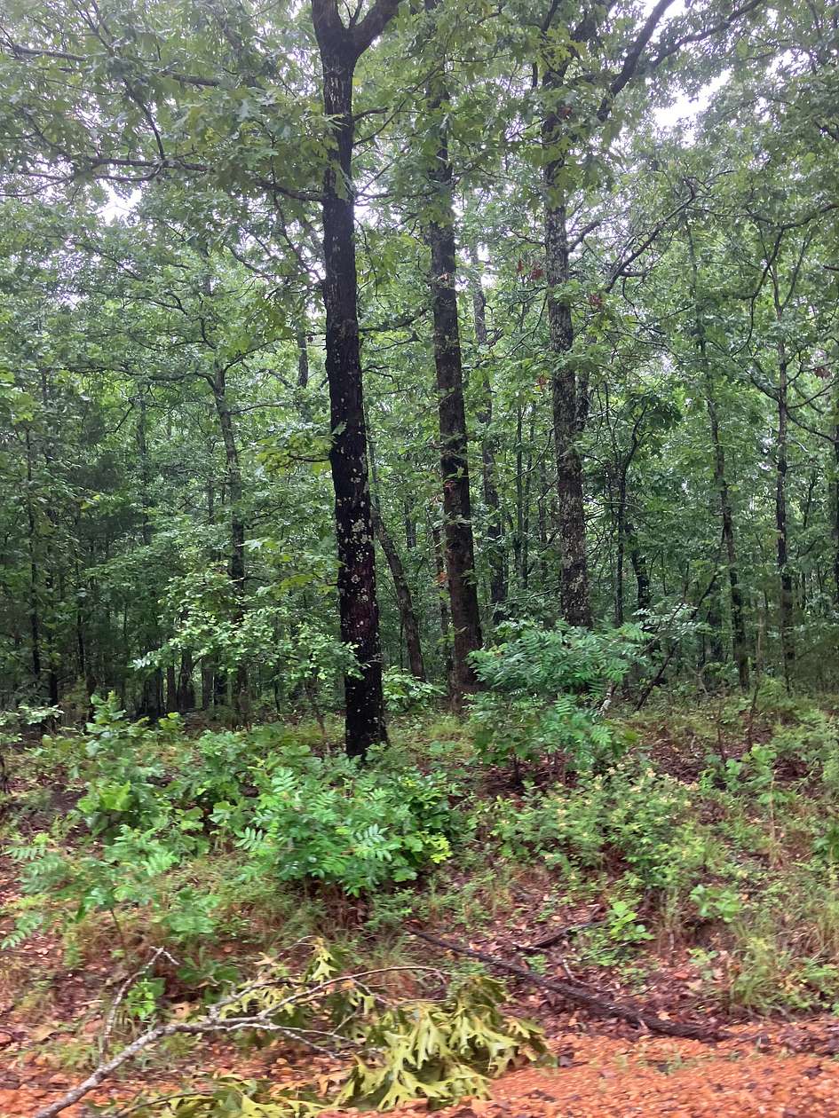 10.5 Acres of Land for Sale in Williford, Arkansas