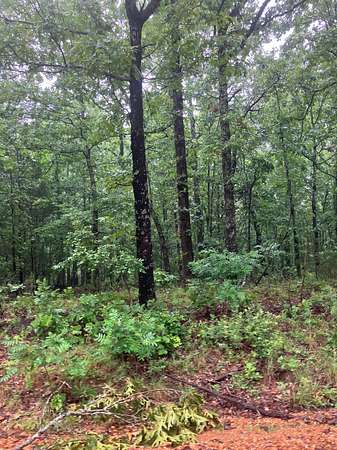10.5 Acres of Land for Sale in Williford, Arkansas