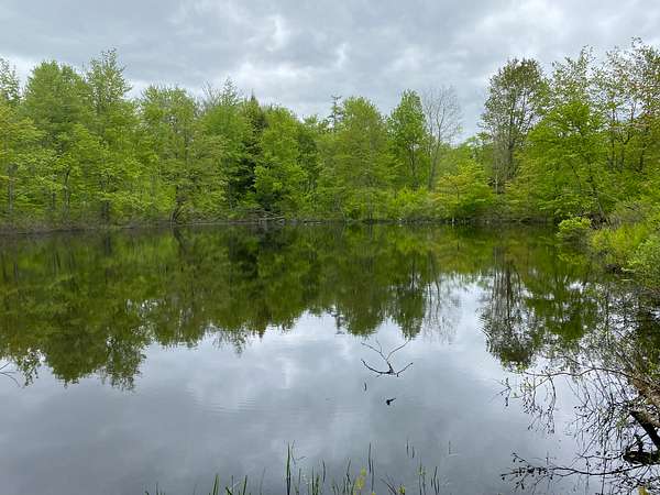 155 Acres of Land for Sale in Parish, New York