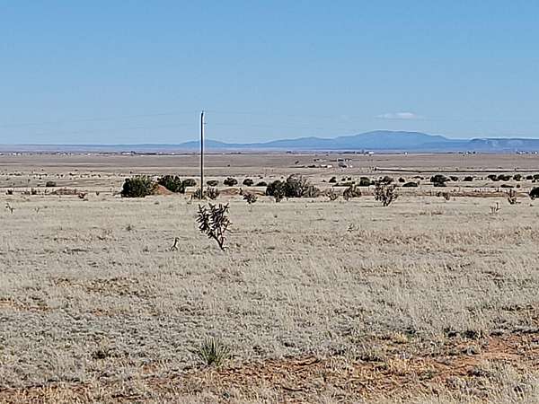 40 Acres of Recreational Land & Farm for Sale in Estancia, New Mexico