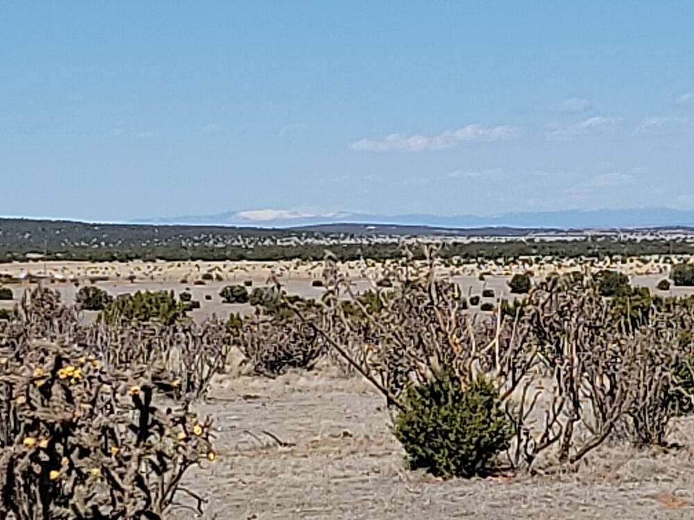 40 Acres of Recreational Land & Farm for Sale in Estancia, New Mexico